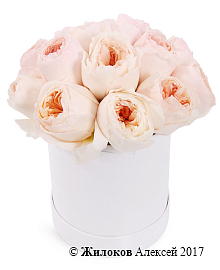 ����� ������� ������ � ������� �������