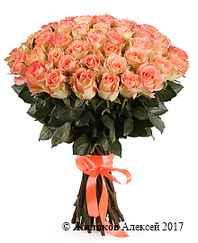 ����� 51 ���� ���� �������