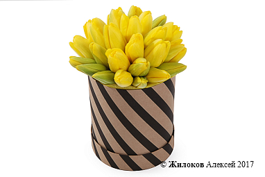 ����� 25 ����������� ��������� � ������� �������, ������