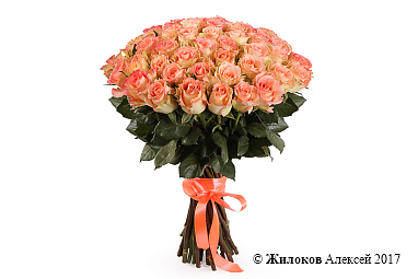 ����� 51 ���� ���� �������