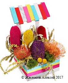 ���������� ������������ ������� � �����