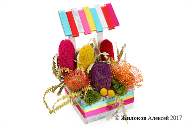 ���������� ������������ ������� � �����