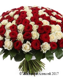 ����� 201 ���� ������-����� ����