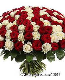 ����� 201 ���� ������-����� ����