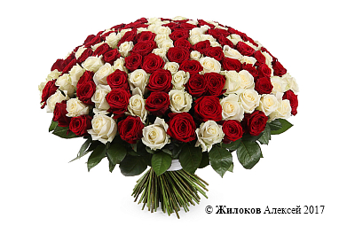 ����� 201 ���� ������-����� ����