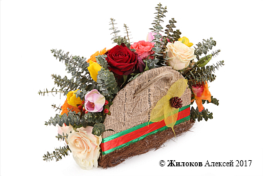 ����� ������� �������