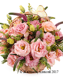 ����� ��������� ������