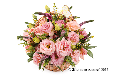 ����� ��������� ������