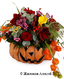 ���������� ���� ��������� ������