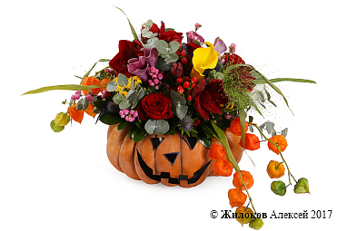 ���������� ���� ��������� ������