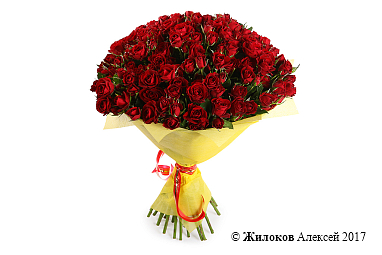 ����� 31 �������� ���� ��������