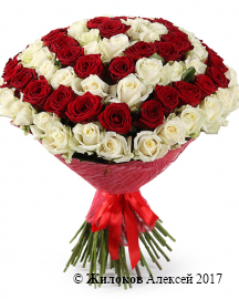 ����� �� ��� ������������� (101 ����)