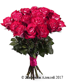 ����� 21 ���� �������