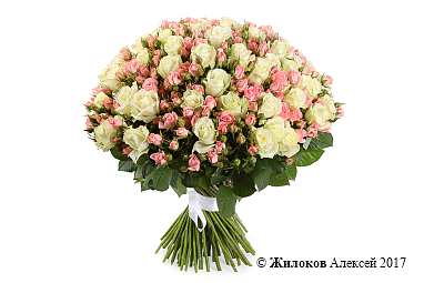 ����� ������������� �����, 101 ����