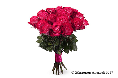 ����� 21 ���� �������