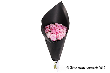 ����� �� ������ ������ ���������