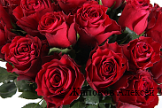Букет 51 роза Родос