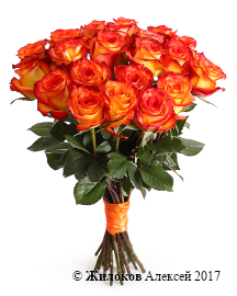 ����� 21 ���� ��� ������