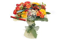 ����� �������� �������