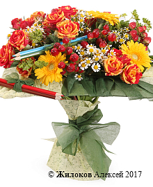 ����� �������� �������