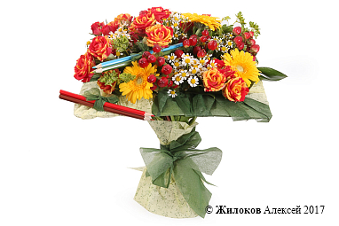 ����� �������� �������