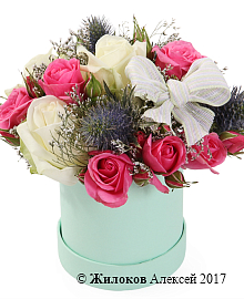 ����� ������� � ������ � ������� �������