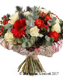 ����� ���������� �������