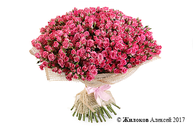 ����� ������� �������