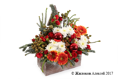 ����� �������������� ������