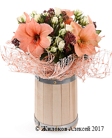 ����� ������ ������� � �����