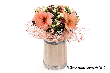 ����� ������ ������� � �����