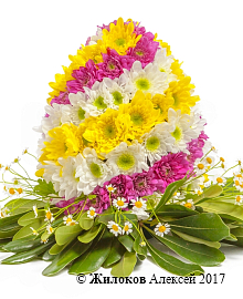 ���������� �� ��������� ��������� ����