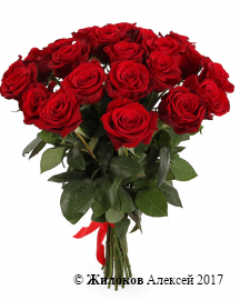 Букет из 25 красных роз Фридом