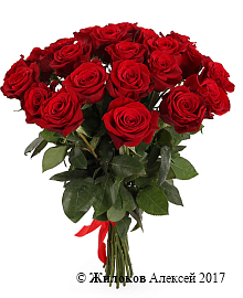 ����� �� 25 ������� ��� ������