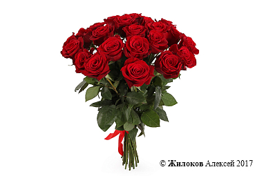 ����� �� 25 ������� ��� ������