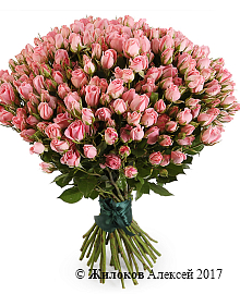 ����� 35 �������� ��� ������