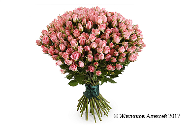 ����� 35 �������� ��� ������