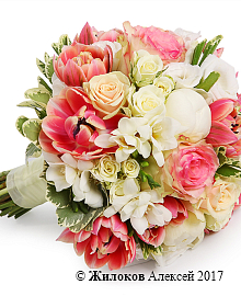 ����� ������� �������