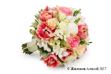 ����� ������� �������