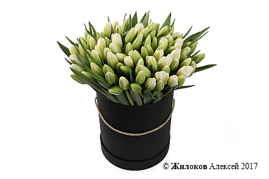 ����� 101 ����������� ������� � ������ ������� �������, �����