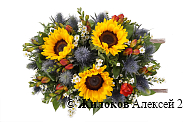 Композиция с подсолнухами Бархатный июль в кашпо