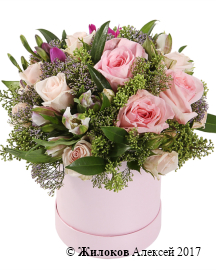 ����� ������ ��� � ������� �������