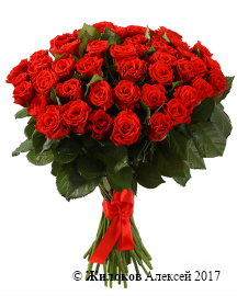 ����� 51 ������� ����, 50 ��