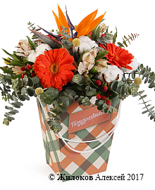 ����� ���������