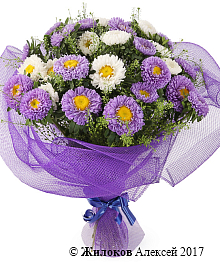 ����� �������� ������ (����)