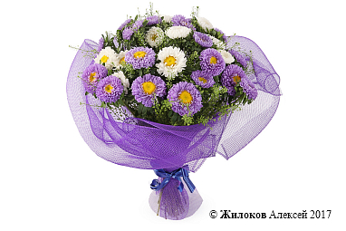 ����� �������� ������ (����)