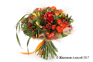 ����� ������� ���������