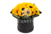 ����� � ������������ ��������� ������ � ������� �������