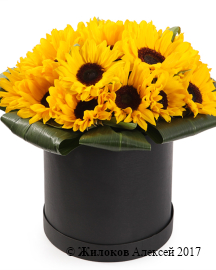 ����� � ������������ ��������� ������ � ������� �������