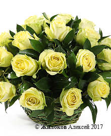 ����� 35 ��� ����� � �������